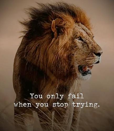 020525 - Stop trying