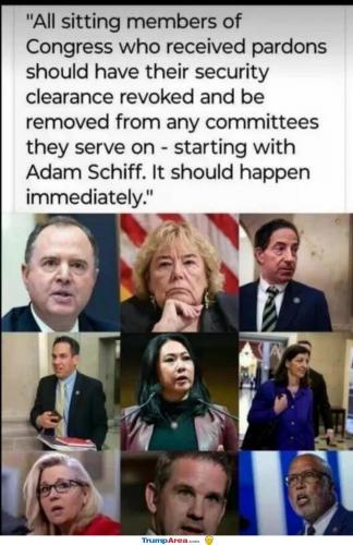 they-should
