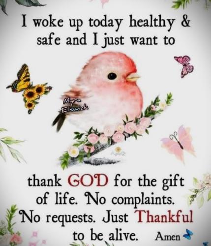 022725 - Thankfor to be alive