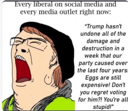 9C6D8F3C-4E95-4882-A031-5C51EA78CC5D