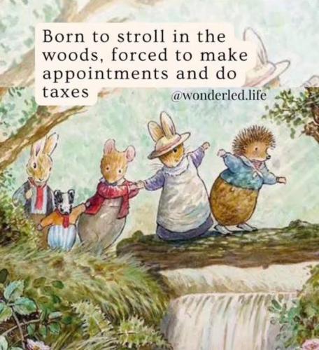 photo_2025-02-20_17-30-29