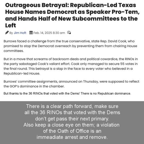 TX state house RINOs
