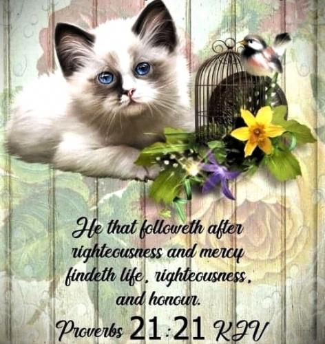 020425 - Pro 21-21 Righteousness