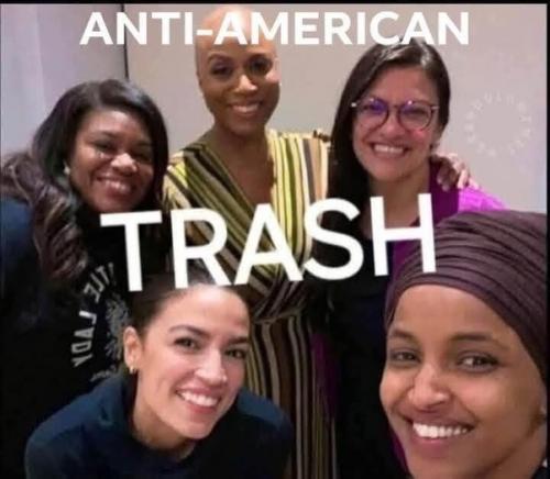 JUSTICE DEMOCRATS TRASH