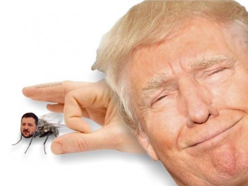 photo_2025-02-19_14-10-17