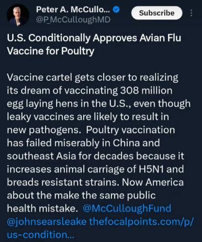 photo_2025-02-26_21-00-04