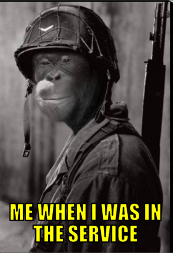 mwiwits