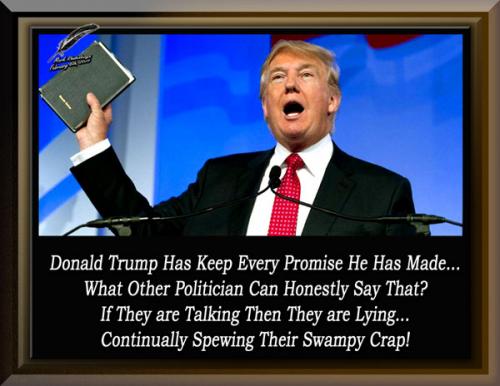 Trump ~Promises Made Promises Keep~
