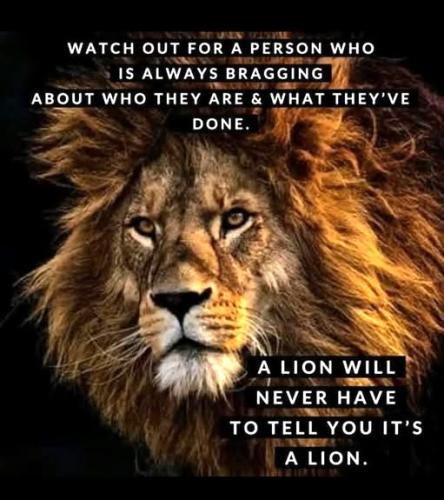 021625 - A lion is a lion