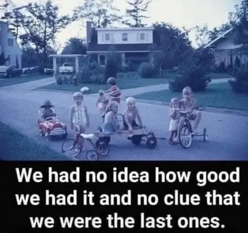 1000019901