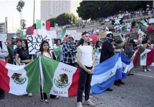 ILLEGAL ALIENS PROTEST