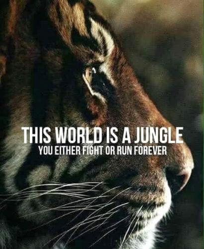 021325 - Jungle - fight or run