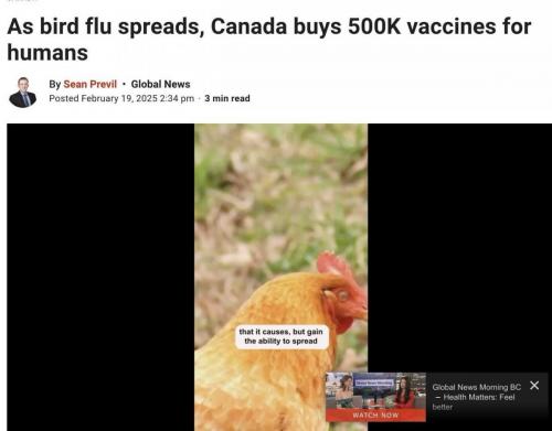 photo_2025-02-21_14-54-14