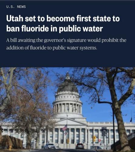 photo_2025-02-26_21-15-37