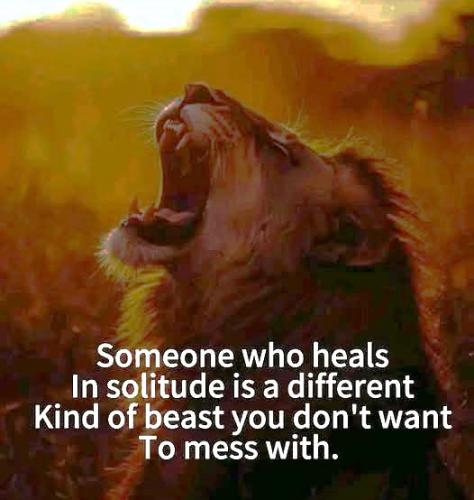 020125 - Solitude