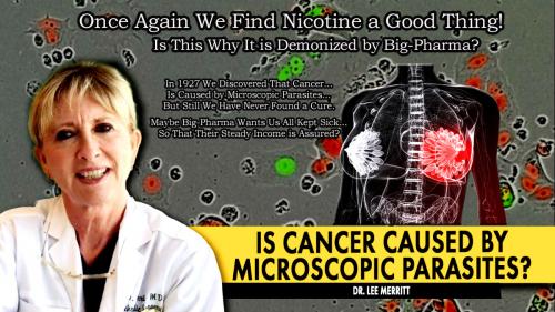 Cancer is Caused by Parasites ~Dr. Lee Merritt~
