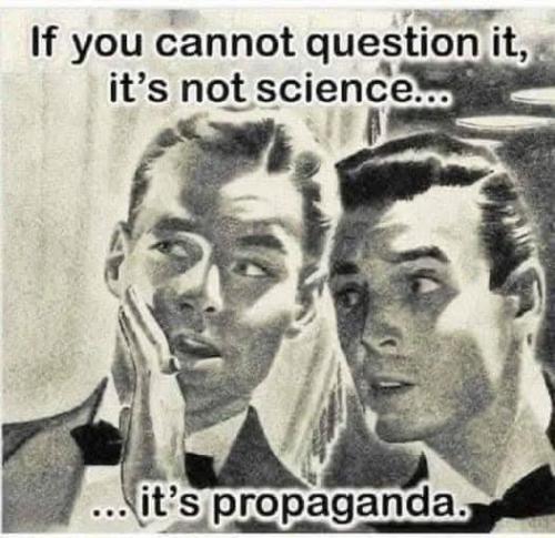 FB_IMG_1740164087733