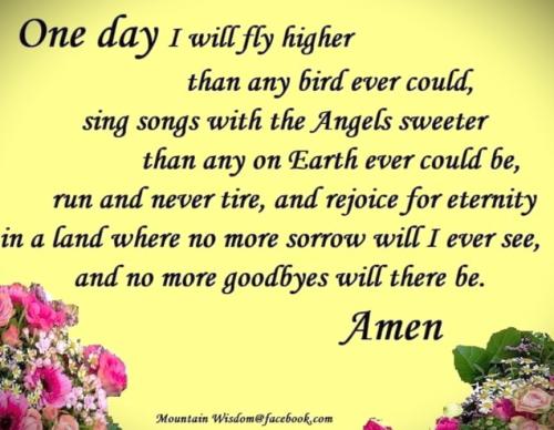 020125 - One day I will fly