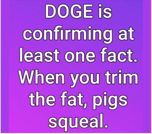 DOGE Makes Pigs Squeal