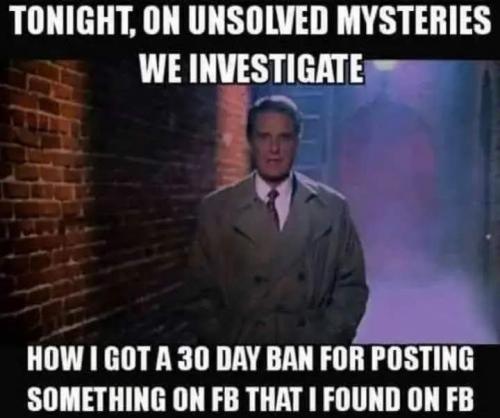 FB_IMG_1740523337348