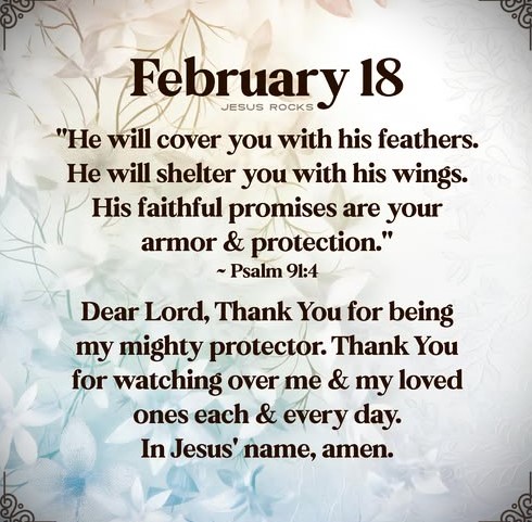 021825 - Protector Ps 91-4