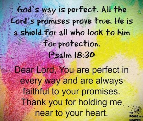 021325 - God is Perfect Ps 18-30