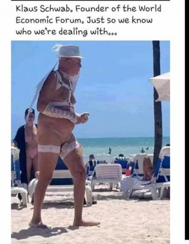 Tinkerbell_Klaus_Schwab