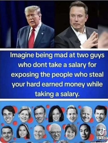 TRUMP AND MUSK SALARY
