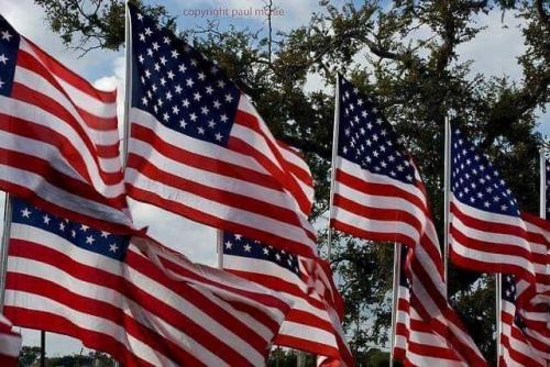 Flag - Multiple 1