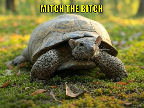 mtb