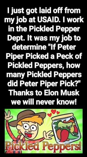 1000072771