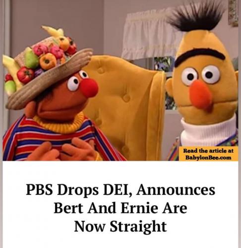 photo_2025-02-12_22-26-54