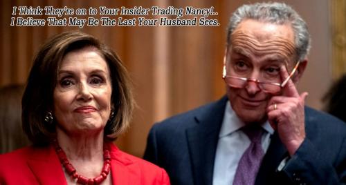 Nancy Pelosi ~Insider Trading~
