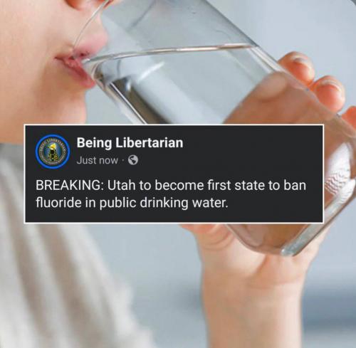 photo_2025-03-30_21-52-02