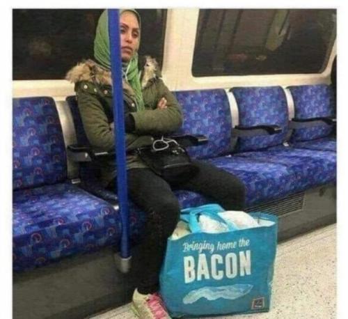 bacon