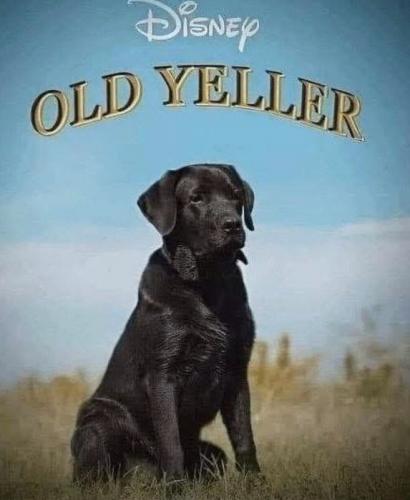 yeller