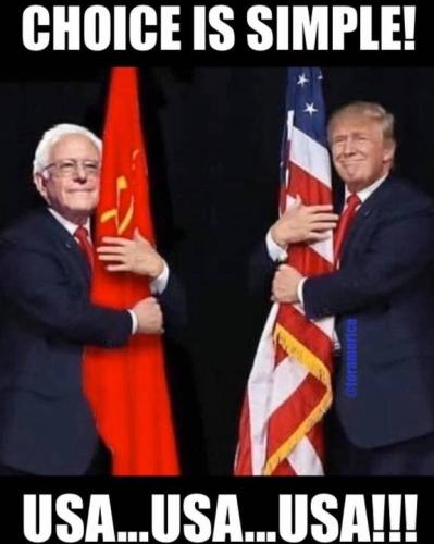 trump vs bernie
