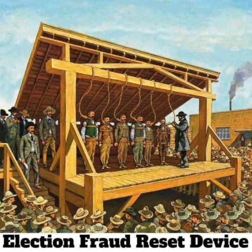 election fraud reset