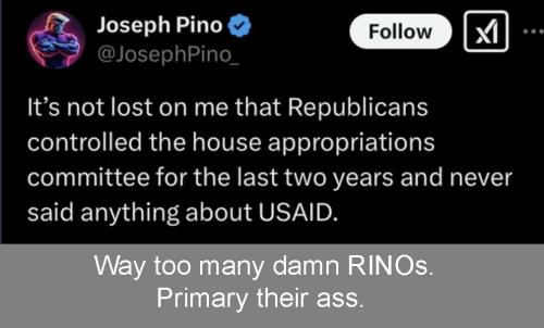 too many RINOs 03