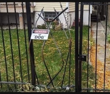 dog