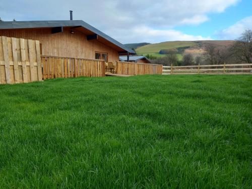 Mid-Wales-Lodges_Hawthorn-Lodge_Spring-lawn