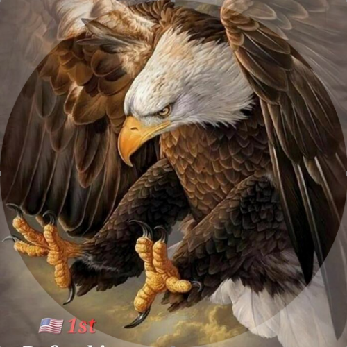 Eagle 7