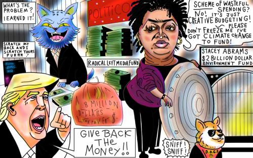 donald Trump stacey abrams political cartoon doge.