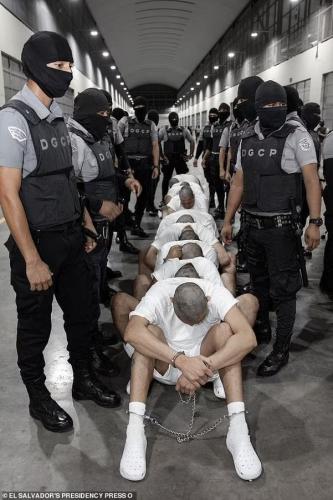 photo_2025-03-18_22-43-39