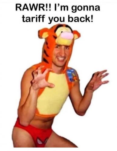 photo_2025-03-05_22-46-50