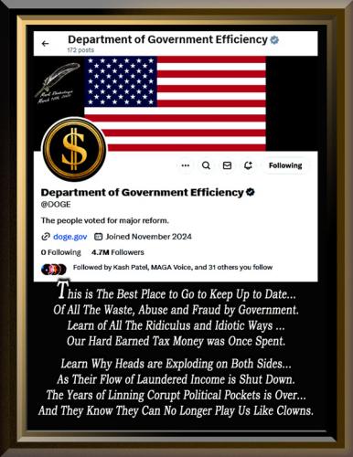 DOGE ~Department of Government Efficiency~