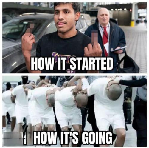 1000078228