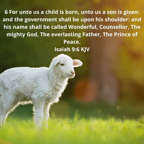 2D8992112279D47B75097E13F17F665A.bible114-min