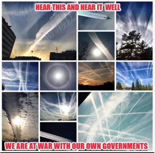 photo_2025-03-31_12-15-20