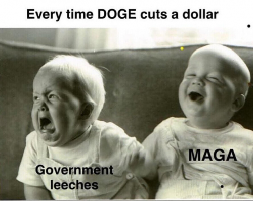1000074135